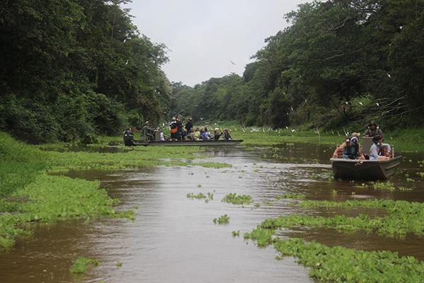 Agua Marina - Pacaya Samiria
