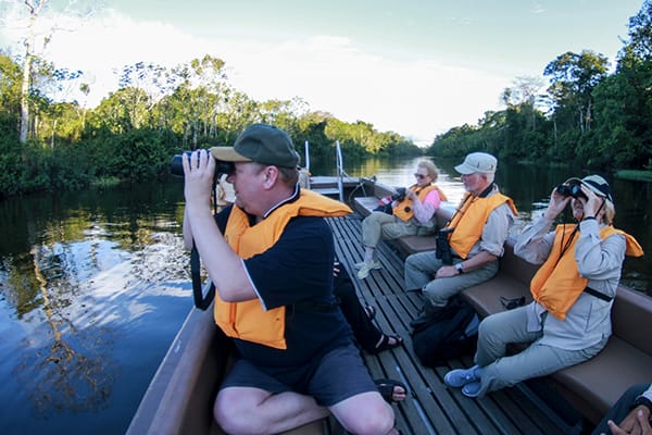 Amatista - Ucayali & Amazonas