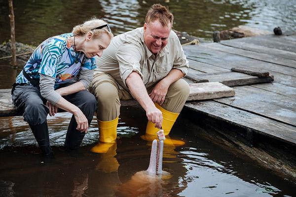 Manatee Amazon's 8-Day Itinerary Day Five - Feeding Pink River Dolphins.