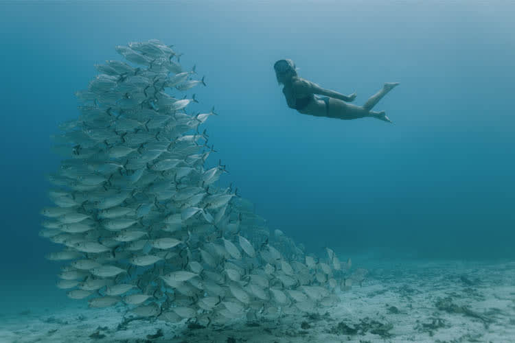 Anne Bonny - Raja Ampat Full Park - Day 4