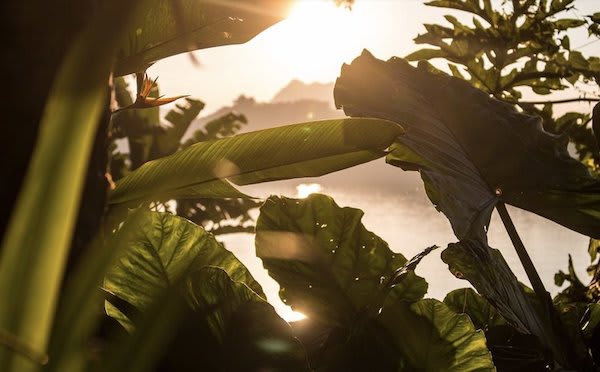 Anouvong's 10-Day Laotian Serendipity Day Seven - Sunset