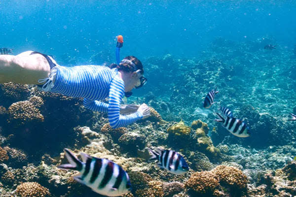 Aqua Lares - Aldabra & Seychelles’ Outer Islands​ - Day 6