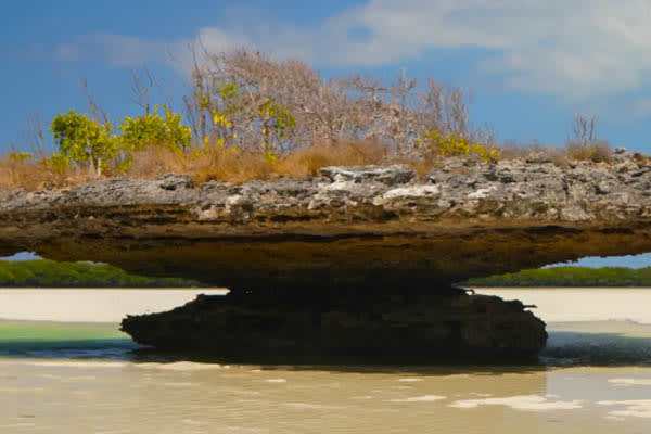 Aqua Lares - The Coralline Seychelles & Zanzibar, Tanzania: Mahe - Zanzibar: Mahe - Zanzibar - Day 6
