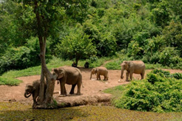 Boheme - Luang Prabang - Xayaboury - Luang Prabang - Day 3