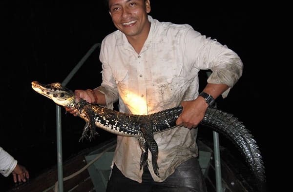 Spondias 8-Day Itinerary Day Five - Caiman at Night.