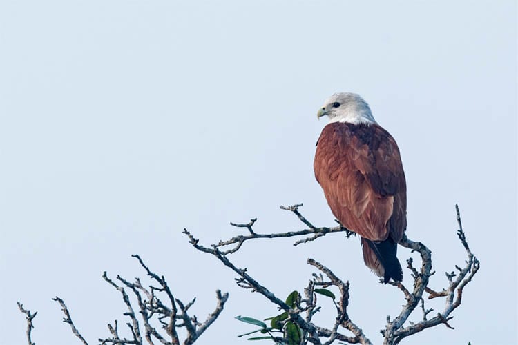 Catamaran - Amazon of the East - Day 3