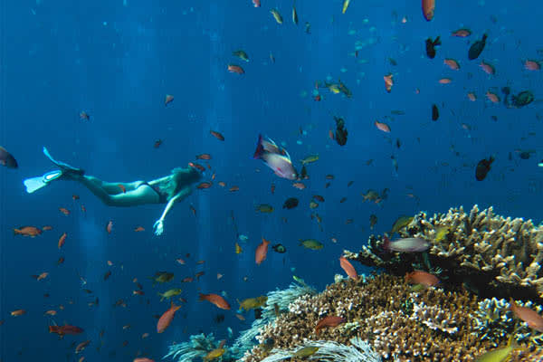 Celestia - Komodo National Park - Day 2