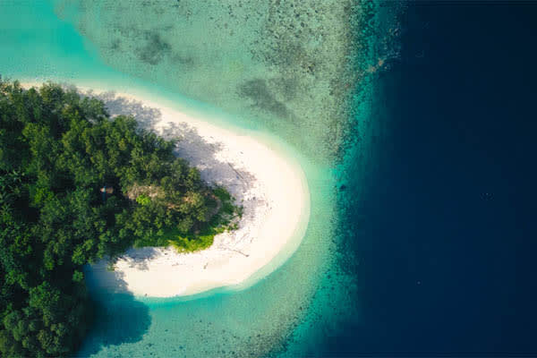 Celestia - Maumere - Ambon - Day 12