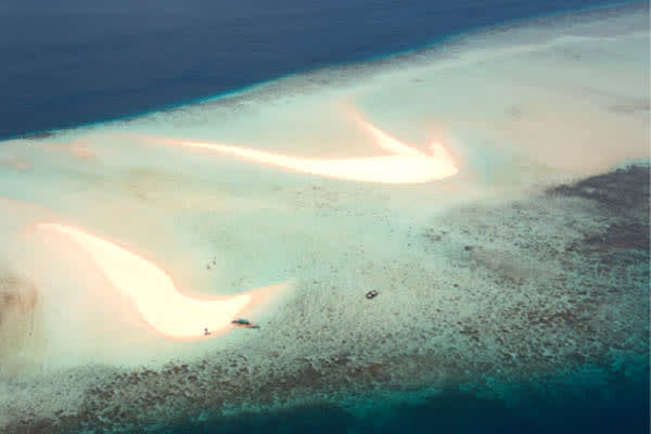 Celestia - Raja Ampat North & Central - Day 1