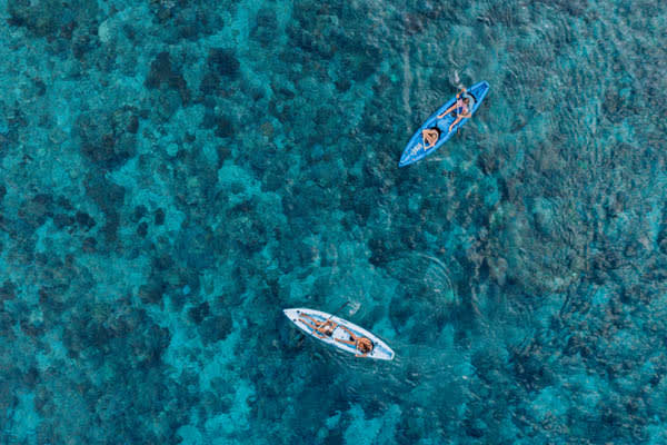 Celestia - The Spice Islands & Misool - Day 12