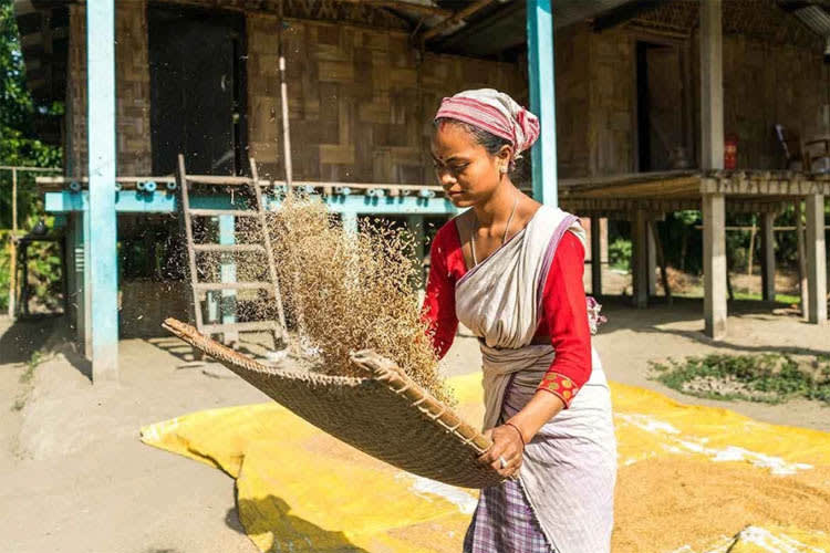 Charaidew II - Brahmaputra Maximum - Day 9