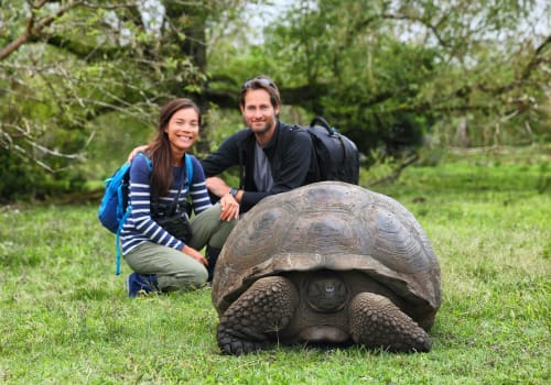 Galapagos Giant Tortoise And Tourist Couple