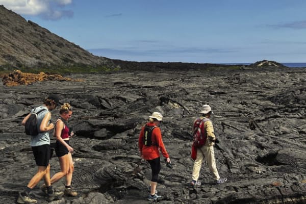 Galaxy Diver - Naturalist Cruise