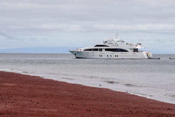 Grand Majestic’s 8-Day Itinerary A Day Six - Cruise to Rabida Island.