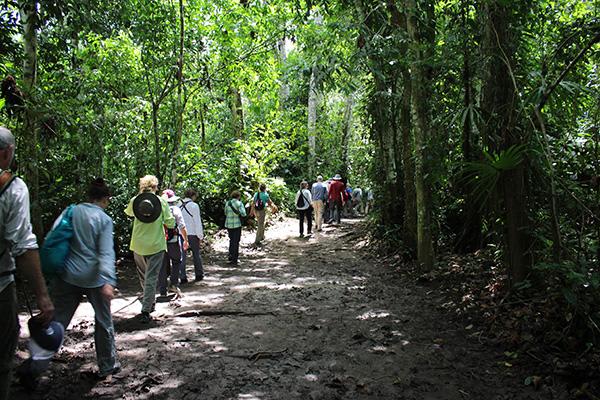Agua Marina’s 5-Day Itinerary Day Three - Jungle Walk.