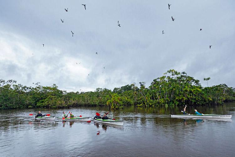 Anakonda Amazon's 8-Day Itinerary Day Six - Kayaking on the Amazon River.