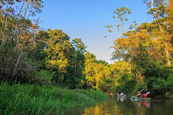 Manatee Amazon's 8-Day Itinerary Day Six - Kayaking on the Amazon River.