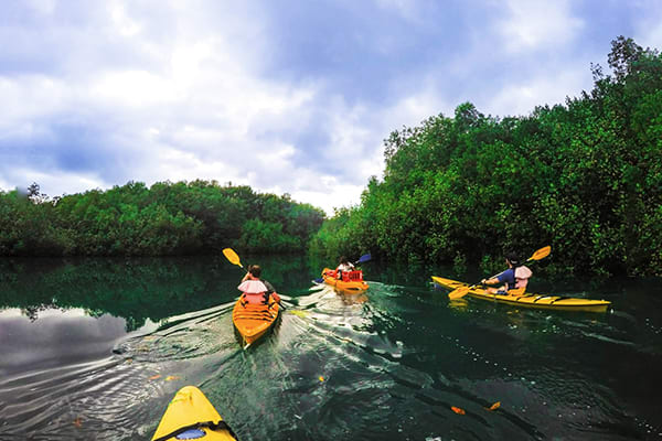 Kontiki - Island Odyssey A