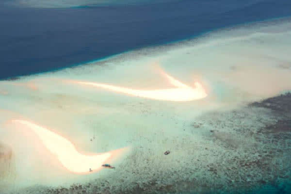 Mutiara Laut - Hidden Lagoons, Endless Reefs, & Manta Rays: North & Central Raja Ampat- Day 10