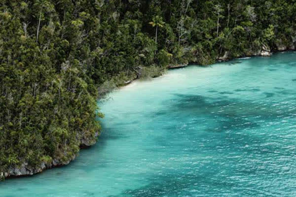 Samara Otium - Raja Ampat The Coral Triangle: South to North Expedition - Day 8