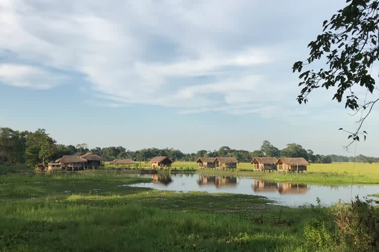 Sukapha - River Island Cruise - Day 6